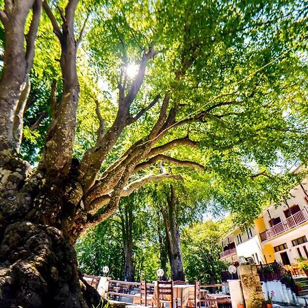 Hotel Hani Zisi Chania  Bagian luar foto