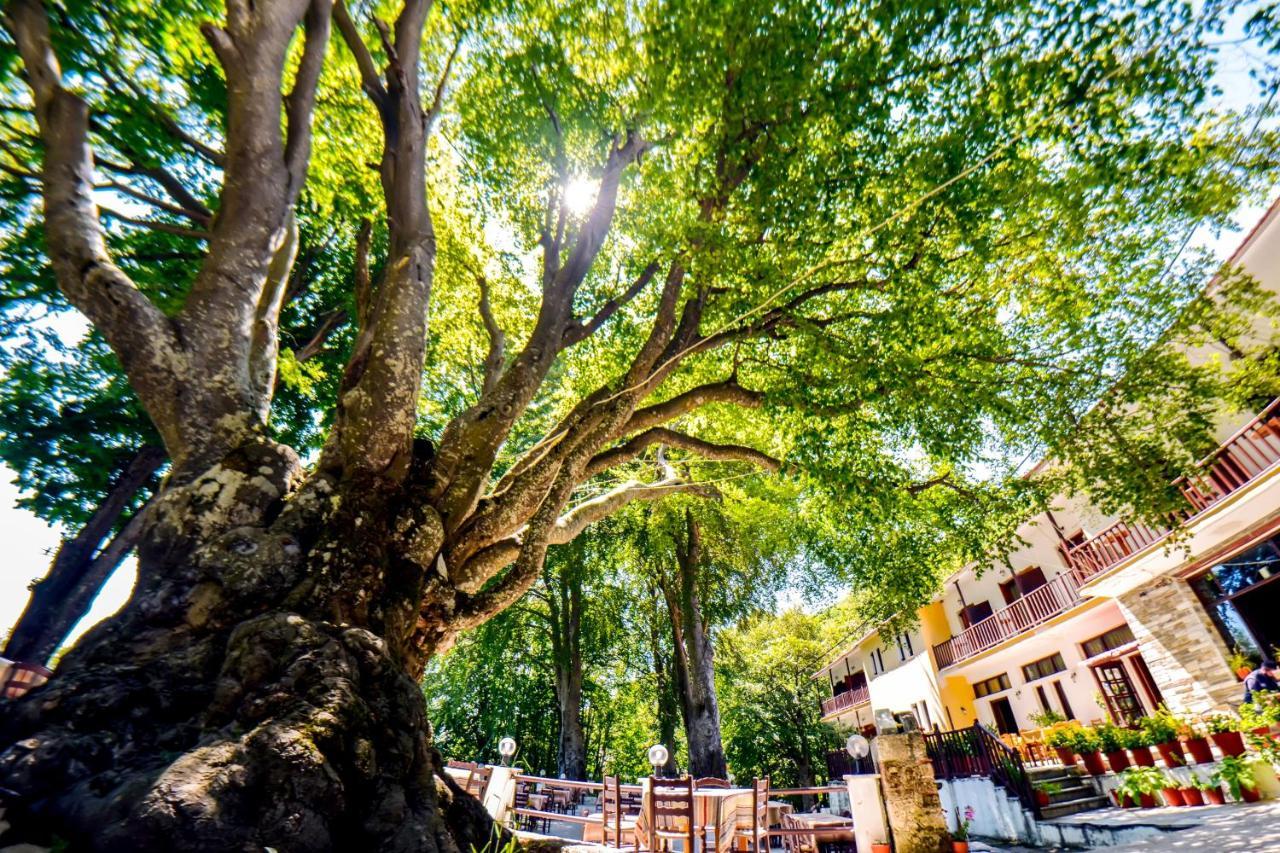 Hotel Hani Zisi Chania  Bagian luar foto